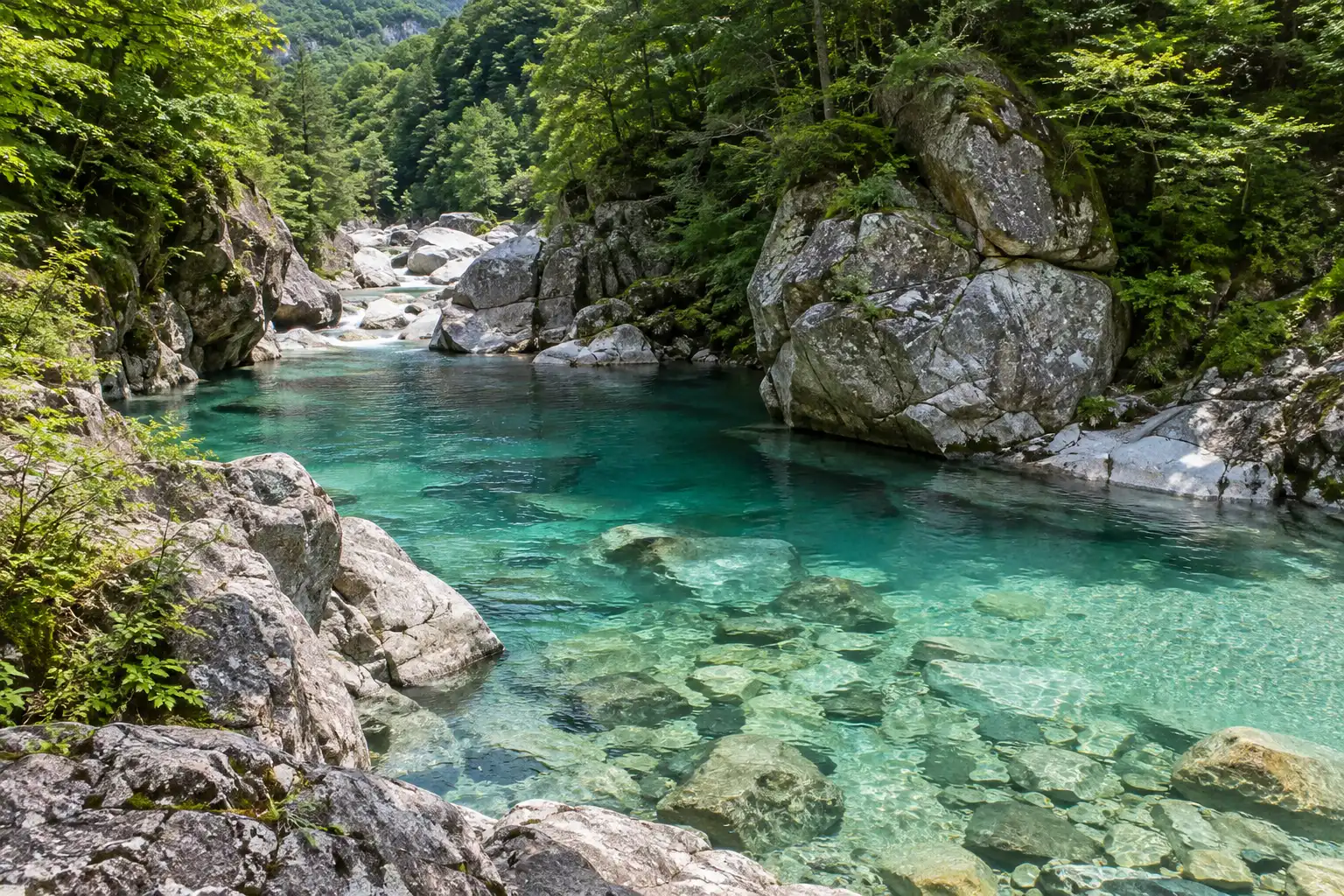 阿寺渓谷の青緑に澄んだ川と明るい色の岩、両岸を覆う森