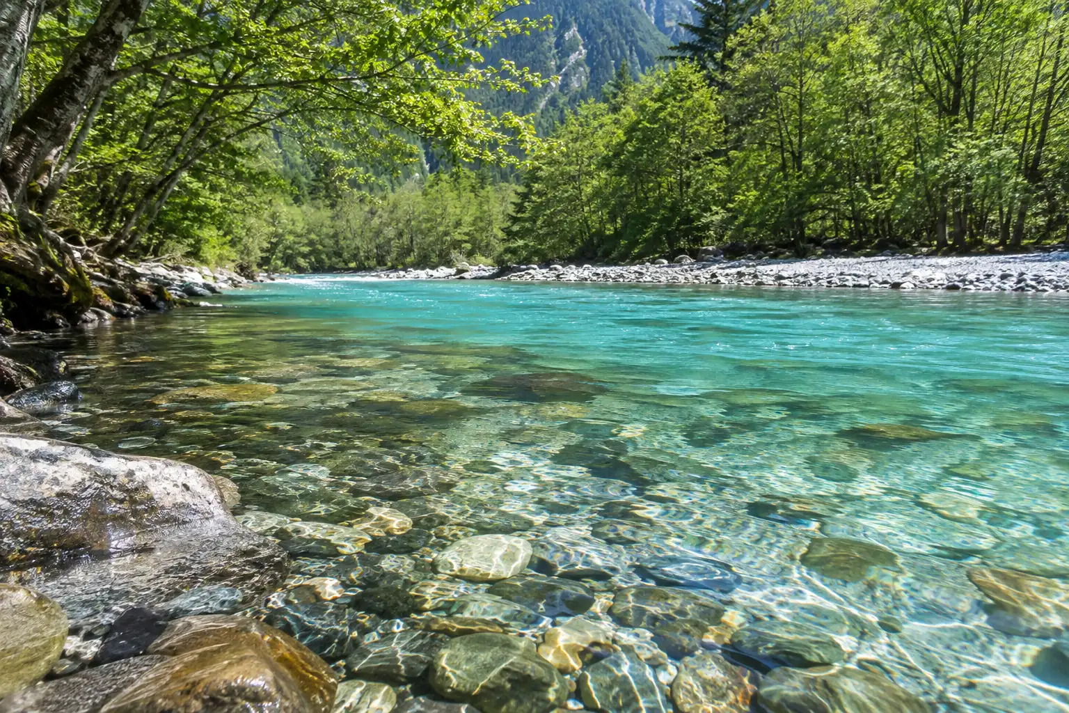 上高地の梓川の浅瀬に透ける石と川辺の木々
